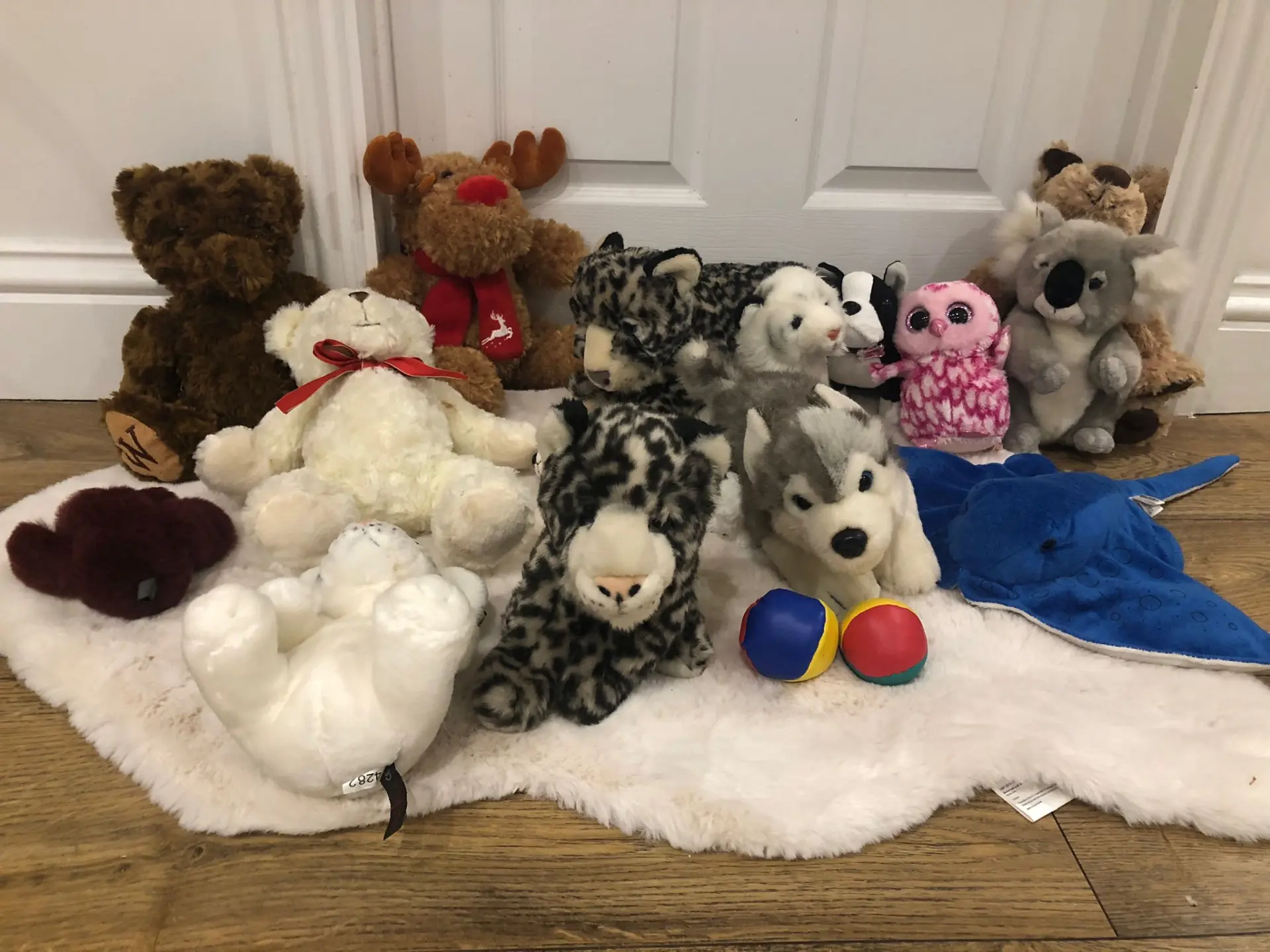 A row of teddy bears and soft toys, including snow leopards, a koala, a pink owl and a blue stingray, sitting on a fluffy white rug